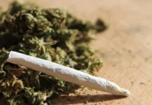 Justiça anula demissão por maconha e manda empresa indenizar trabalhador