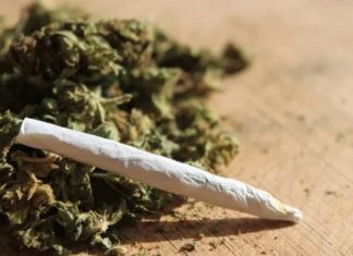 Justiça anula demissão por maconha e manda empresa indenizar trabalhador