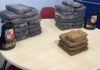 Polícia apreende 33 tabletes de maconha durante operação da ROCAM no Tarumã