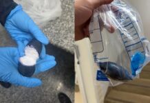 Visitante é flagrada com cocaína escondida no corpo durante revista em presídio