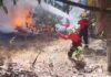Fogo se espalha por área verde perto da Reserva Adolpho Ducke, em Manaus