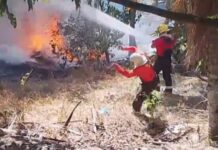 Fogo se espalha por área verde perto da Reserva Adolpho Ducke, em Manaus
