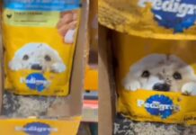 Cliente denuncia supostas larvas de moscas em Supermercado DB de Manaus e cobra providências