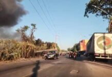 Princípio de incêndio atinge vegetação no Parque Mauá em Manaus