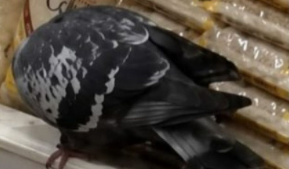 B
