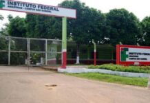Onça ataca rebanho do Ifam e mata 11 ovinos em São Gabriel da Cachoeira no Amazonas