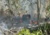 Incêndio em terreno próximo a subestação preocupa moradores da Colônia Japonesa em Manaus