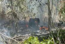 Incêndio em terreno próximo a subestação preocupa moradores da Colônia Japonesa em Manaus