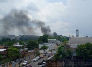 Incêndio em área de mata assusta moradores e mobiliza bombeiros no Parque 10 em Manaus
