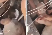 VÍDEO: Bebê é resgatado com vida dos escombros após terremoto na Colômbia