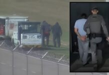 Segundo suspeito por tentativa de envio de 400 kg de cocaína no Aeroporto de SP é solto