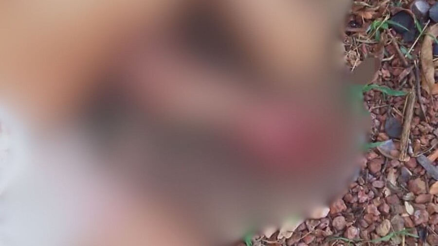 Com f3riment0 na cabeça, homem é encontrado desacordado e levado às pressas para hospital em Maués Com f3riment0 na cabeça, homem é encontrado desacordado e levado às pressas para hospital em Maués