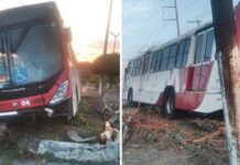 Ônibus lotado da linha 350 perde controle, sobe em canteiro e colide com árvore em Manaus