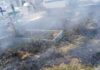 Fogo atinge área de vegetação do Cemitério do Tarumã