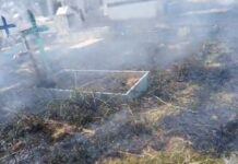 Fogo atinge área de vegetação do Cemitério do Tarumã