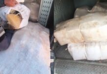 Força Tática localiza grande quantidade de drogas durante operação na Monte Orebe, em Manaus