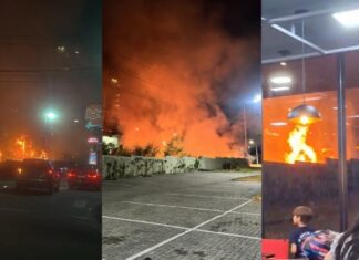 Fogo se espalha por área de vegetação na Avenida das Torres, em Manaus