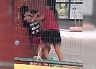 Mulher e homem são flagrados em briga em parada de ônibus no Crespo