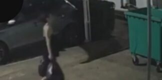 Recém-nascida é encontrada m0rt4 dentro de caixa em condomínio e mãe vira investigada