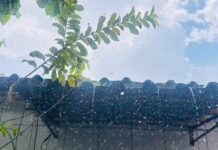 Após sequência de dias quentes, Manaus amanhece com chuva nesta quarta-feira
