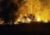 Incêndio de grandes proporções atinge lixão e deixa ar em condição péssima em Maués