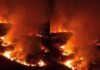 Imagens mostram incêndio avançando pela vegetação em Iranduba no Amazonas