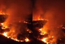 Imagens mostram incêndio avançando pela vegetação em Iranduba no Amazonas