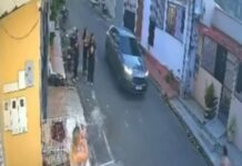 Cachorro é atropelado por carro e motorista foge sem prestar socorro em Manaus