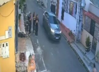 Cachorro é atropelado por carro e motorista foge sem prestar socorro em Manaus
