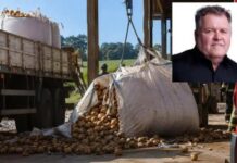 Vereador morre esmagado após ser atingido por carga de uma tonelada de batatas