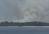 Incêndio em área de vegetação mobiliza cinco viaturas na AM-070 no Amazonas