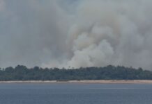 Incêndio em área de vegetação mobiliza cinco viaturas na AM-070 no Amazonas
