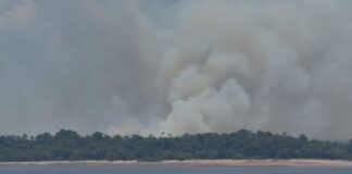 Incêndio em área de vegetação mobiliza cinco viaturas na AM-070 no Amazonas