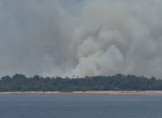 Incêndio em área de vegetação mobiliza cinco viaturas na AM-070 no Amazonas