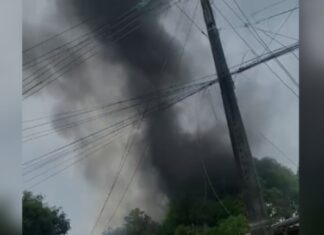Fogo atinge área de mata e assusta moradores do Tancredo Neves, em Manaus