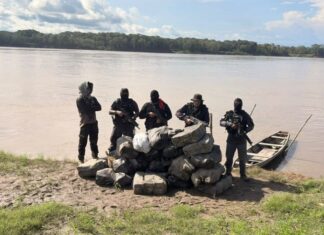 Polícia apreende 752 quilos de skunk escondidos em mata no interior do AM