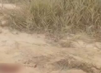 Homem é encontrado caído e baleado em terreno na Zona Leste de Manaus