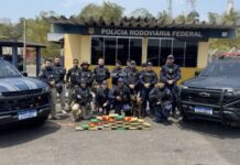 Polícia encontra 30 kg de ent0rpecentes em ônibus que seguiria de Manaus para Porto Velho