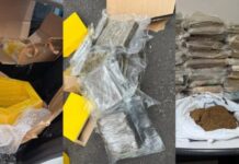 Denarc encontra 56 kg de skunk ocultos em compartimentos de MDF durante operação em Manaus