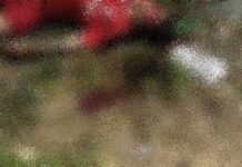 Homem vestido com camisa do Flamengo é executado no Campo do Areal, na zona norte de Manaus